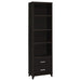 Lewes 2-drawer Media Tower Cappuccino image